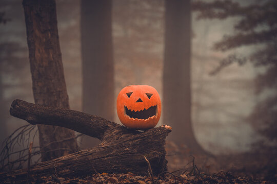 Halloween jack o lantern with smoke coming out in the forest