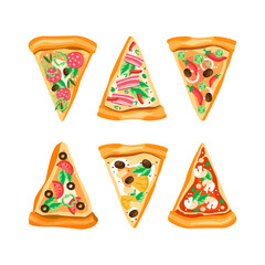 Slices of Appetizing Pizza with Different Ingredients Above View Vector Set