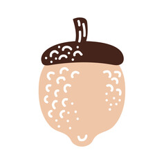 acorn seed autumn season