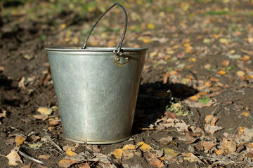 Steel water bucket. Bucket of water in garden. Garden tools for watering earth.