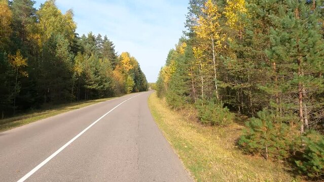 Road view on a summer day. Highways and cars, roadside and white road line markings.