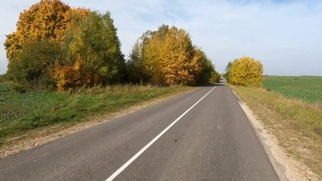 Road view on a summer day. Highways and cars, roadside and white road line markings.