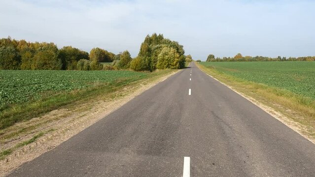 Road view on a summer day. Highways and cars, roadside and white road line markings.