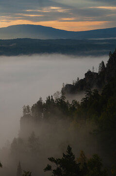 Morning mist on top of old mountains overgrown with coniferous trees.
