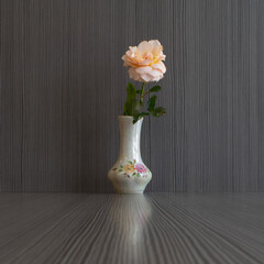 Yellow rose in a vase