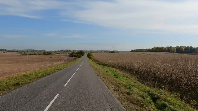Road view on a summer day. Highways and cars, roadside and white road line markings.