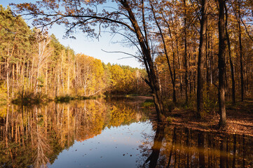 Autumn landscape. The autumn forest is reflected in the lake.