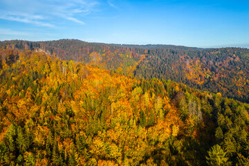 Colourful autumn forest of Jizera Mountains from above