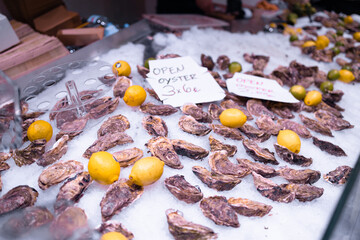 Various types of oysters at a local fish market, Valencia, Spain.