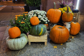 Pumpkins at the entrance, orange and green pumpkins, holidays decoration. Decoration of the entrance to the restaurant on Halloween holidays. Mobile Photography