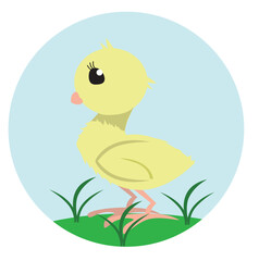 Cute Baby Easter Chick