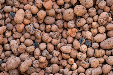Top view of expanded clay. Texture background of fired clay balls.