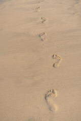 Fototapeta na wymiar Footprints in the sand on the beach in Dubai