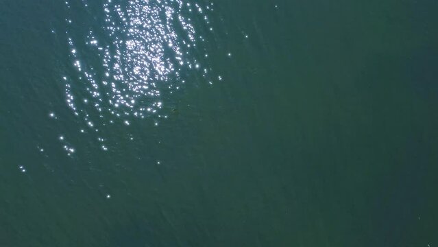 4k Top view of shiny surface of sea waters outdoors irrl. Aerial of turquoise waters sparkle and reflect sunlight in open air in summer. Operator captures beautiful nature and unique phenomenon with