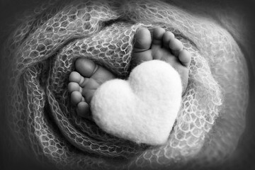 Feet of a newborn close-up in a woolen blanket. Pregnancy, motherhood, preparation and expectation of motherhood, the concept of the birth of a child. Black and white photography. 