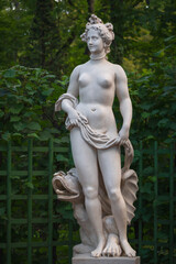 Fototapeta na wymiar Allegory Statue of beauty in Summer garden, Saint Petersburg, Russia