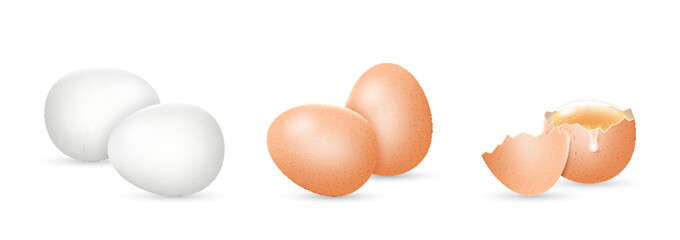 Egg whole and cracked realistic. White and brown chicken eggs and broken shell element