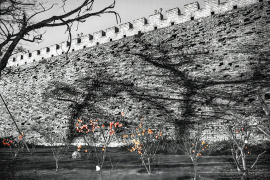 Fototapeta Black White City Wall Park Shadows Beijing China