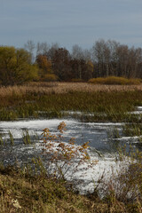 Symposium Victo Et Ses Oies 23 Octobre 2022