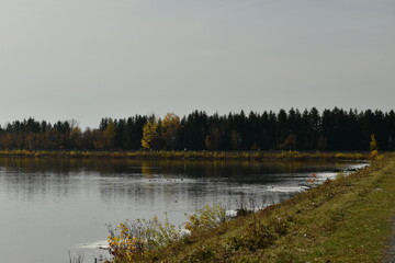 Symposium Victo Et Ses Oies 23 Octobre 2022