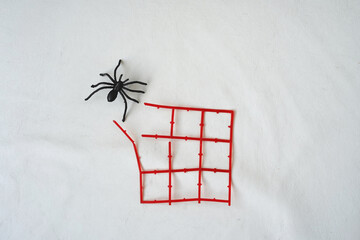 spider and a square net - 540563474