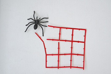 spider escaping from square labyrinth - 540563495