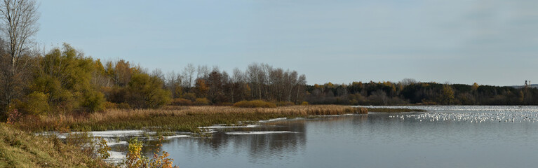 Symposium Victo Et Ses Oies 23 Octobre 2022