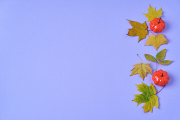 Autumn background with colourful leaves and small pumpkins. Copy space. Templates for placards, banners, flyers, presentations, reports.
