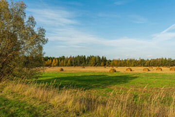 Haybale at a field with green grass and dry hrass. Autumn landscape on a sunny day