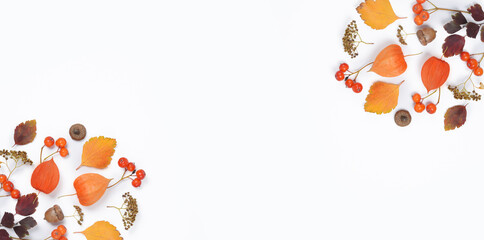Bright yellow autumn leaves, chestnuts, pine cones and orange physalis flowers on a white background with copy space for text. Beautiful autumn frame.