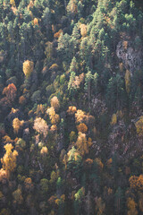 Mountain slope overgrown with yellowed trees in autumn in October, in the mountains of the Caucasus