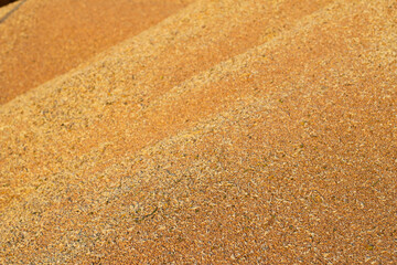 yellow texture background with heaps of ripe wheat grains after harvesting for storage 