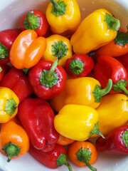 Close up overhead view of a group of colorful assorted mini peppers in a strainer having just been rinsed
