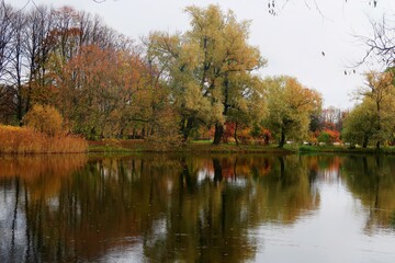 autumn in the park