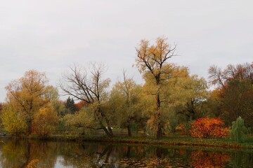 autumn in the park