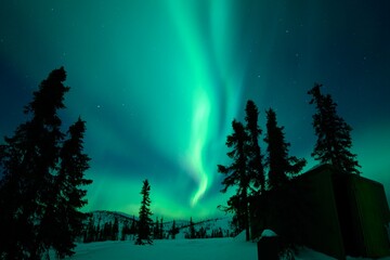 Aurora night forest in the winter