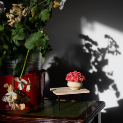 Still life of small bouquet of roses and big pot of white flowers
