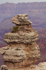 Fototapeta na wymiar rocks in the desert