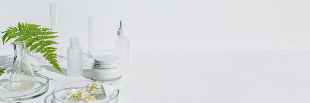 Banner Petri dishes with cosmetic on white background. Copy space. Concept skincare. Dermatology science cosmetic laboratory. Natural medicine,cosmetic research, organic skin care products
