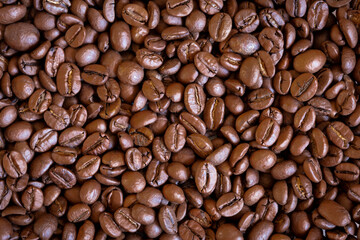 Roasted coffee grains background. coffee beans