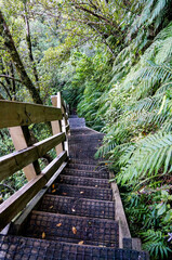 Obraz premium The Pouakai Circuit in New Zealand