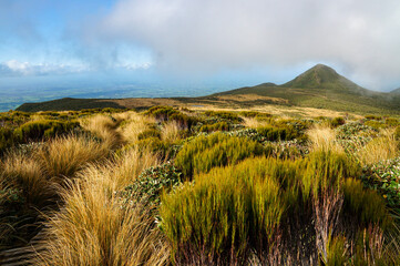 The Pouakai Circuit in New Zealand