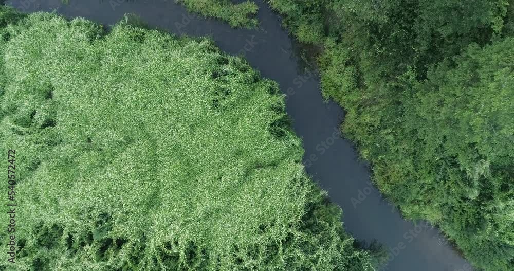 Aufkleber aerial view of green summer forest and river from above. video using the copter. top view