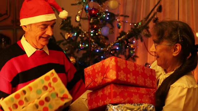 Christmas Boxing Day for a Senior Caucasian Couple Holding and Arranging Presents to Put under Christmas Tree 