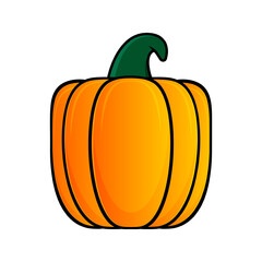 Pumpkin illustration. Design elements with a Halloween theme. Vector illustration