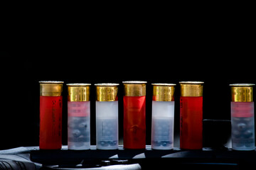 Shotshell bullets near shotgun, soft and selective focus.