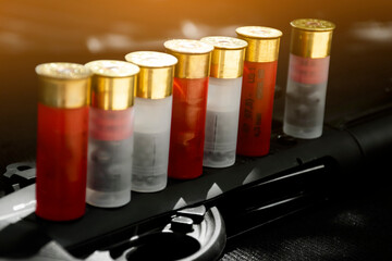 Shotshell bullets near shotgun, soft and selective focus.