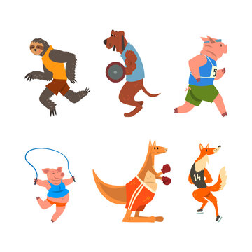 Wild Animal Characters Doing Sport Running, Lifting Heavy Barbell, Boxing, Skipping Rope and Ice Skating Vector Set