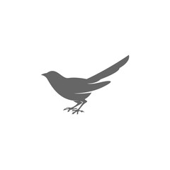 Magpie logo icon illustration design
