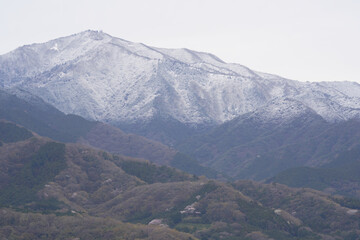 Cherry blossoms are blooming at the foot of Mt. Ooyama covered with light snow  